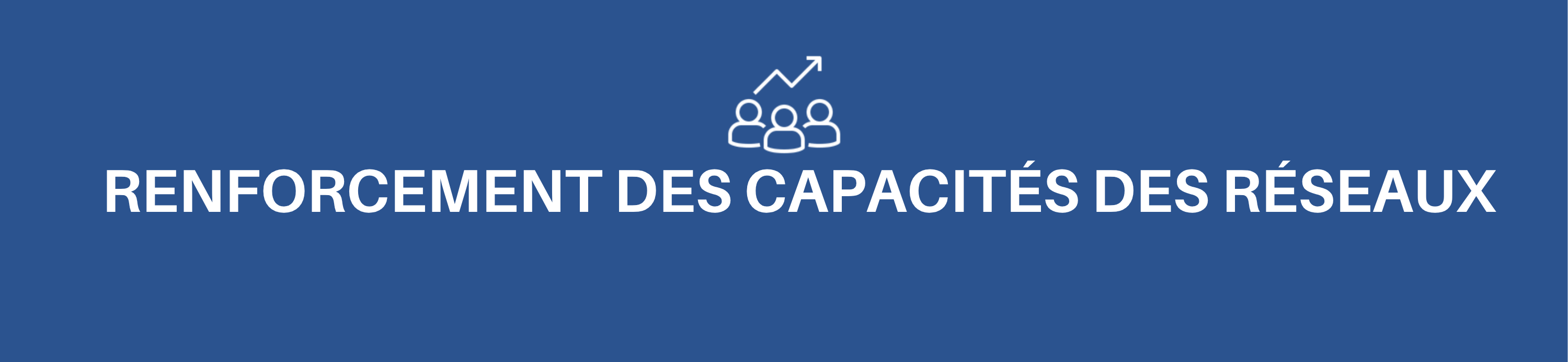 Bannière Renforcement des Capacités