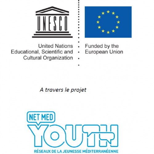 Net-Med-Youth