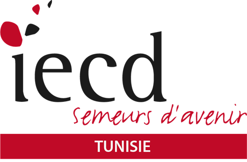 Institut Européen De Coopération Et Développement
