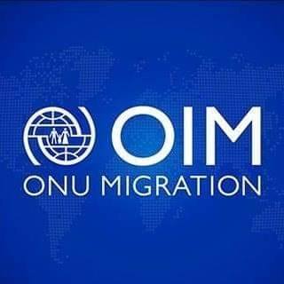 National Consultant type B-OIM