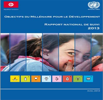 Rapport national de suivi 2013